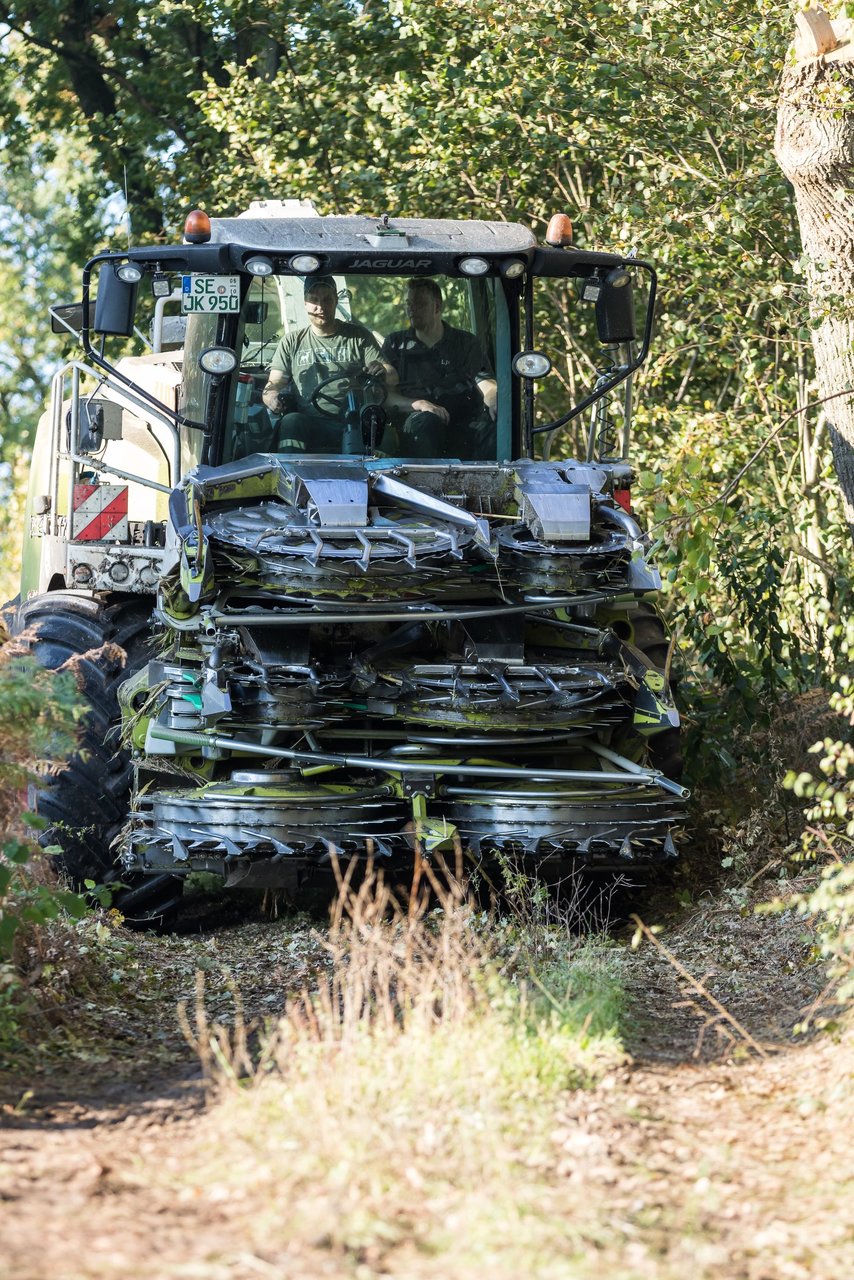 Bild 127 - Maisernte